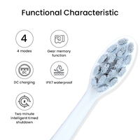 Brosse à dents électrique blanchissante, brosse à dents sonique intelligente 39600 VPM, vibration haute fréquence, charge rapide, rechargeable