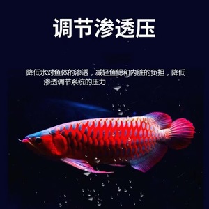 Tablettes de sel minéral pour poissons 1kg pour la purification de l'eau des poissons d'aquarium - Product Image 5