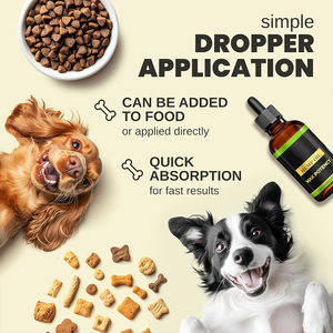 Aceite Especializado para Perros y Gatos OEM/ODM, Alivio del Dolor Articular y Mejora del Sueño - Product Image 2