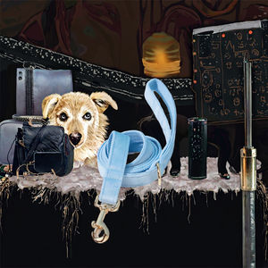 Collar para Perro QbellPet con Brillantes Cristales y Diamantes de Imitación, con un Deslumbrante Brillo - Product Image 3