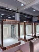 VANLOCY Casiers intelligents de luxe personnalisés en acier inoxydable poli, durables, avec écran LED mural, vitrines en verre pour bijoux et montres (pour