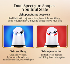 Heated Facial Massager Wand with Vibration Ion Import Skin Care Tool for Anti Aging Fine Line Relief Home Daily Face Care - Product Image 2