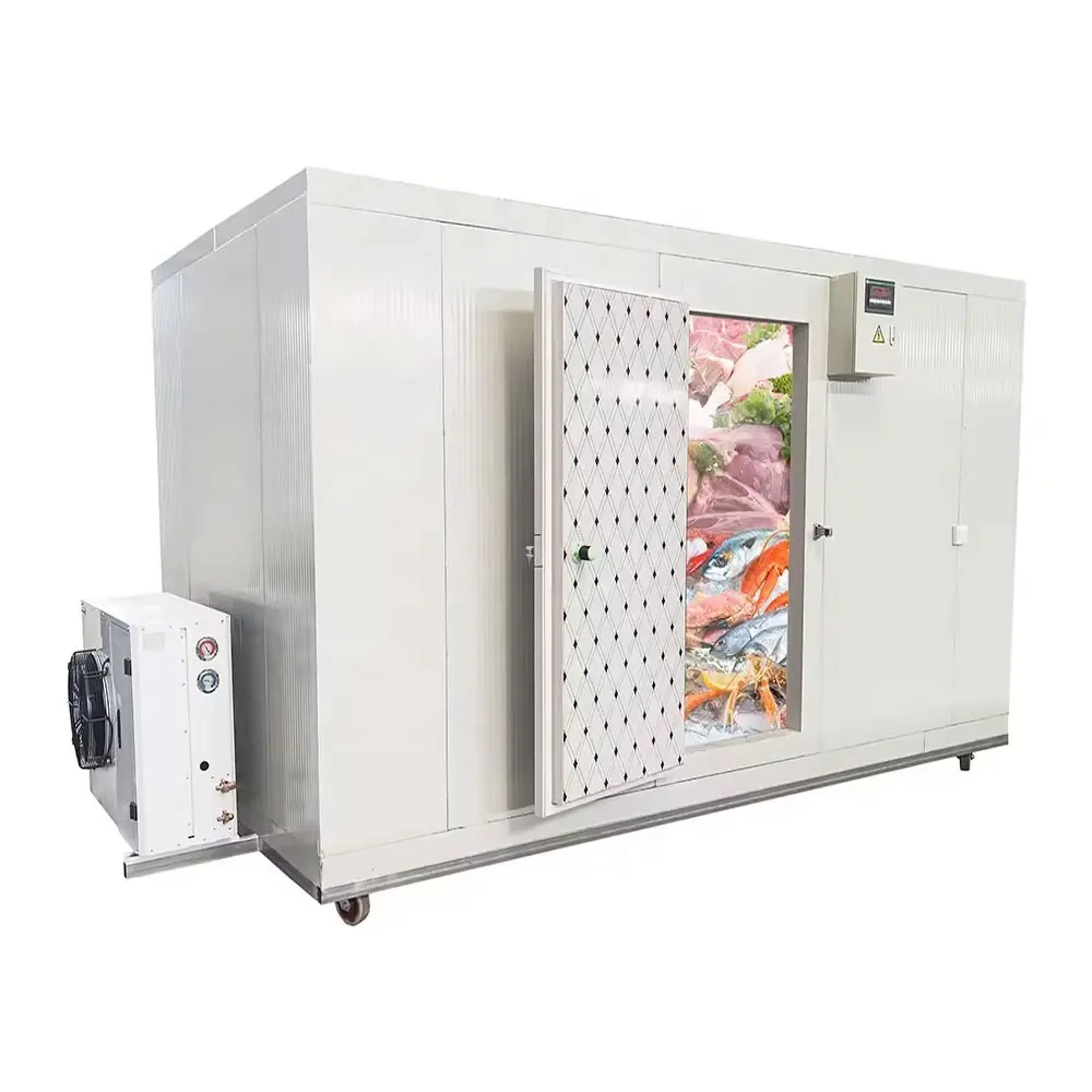 省エネ産業用ミニ操作が簡単なブラスト冷蔵庫とディープモノブロック冷凍庫完全な冷蔵室保管