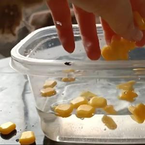 Perles flottantes pour la pêche à la carpe, appâts souples aromatisés au maïs jaune, boules flottantes en silicone, accessoires, 30 pièces, rivière, lac, ruisseau - Product Image 2