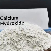 Poudre de chaux hydroxide de calcium 25 kg, haute efficacité, alcali composite pour revêtement aquacole, agent de remplissage, traitement des eaux usées, pH