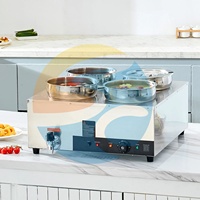 Bain-marie électrique commercial en acier inoxydable à 4 cuves, chauffe-plat industriel pour liquides, modèle SC-TT4-7L de la marque SC
