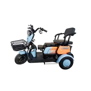 High Quality Trike Motorcycle Elderly Scooter Motorcycle Cargo 3 Wheel Electric Tricycle For Adult