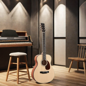 Hailun Hl <span class=keywords><strong>1</strong></span> nhạc cụ & phụ kiện guitar thanh lịch - Product Image 4