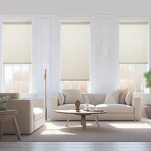 Motorized Roller Shades With Remote Control Blackout Smart Blinds For Windows Work Rechargeable Electric Window Shade