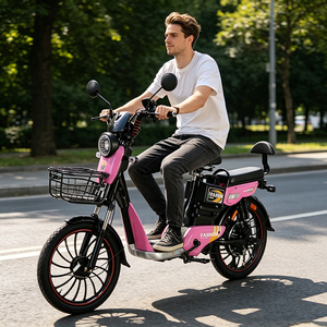 Vélo électrique à batterie au plomb avec pneus de 20 pouces, selle rembourrée et tige de selle amortissante <span class=keywords><strong>pour</strong></span> un confort de conduite longue distance - Product Image 5