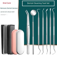 Kit d'outils dentaires pour le nettoyage des dents et les soins bucco-dentaires avec détartreur et éliminateur de plaque, miroir buccal, sonde métallique pour