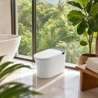 Toilettes intelligentes pour salle de bain avec bidet intégré, cuvette monobloc sans rebord, sanitaires en céramique pour projets de rénovation