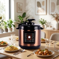 Fabricant en gros OEM – Autocuiseur électrique multifonction 5L 220V CE CB RoHS – Commande en gros pour distributeur d'appareils électroménagers