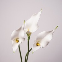 Kunstbloemen 2-stengelige Calla Lelie Bloemstuk voor Huisdecoratie, Fotografie-accessoires en Bruidsboeketten