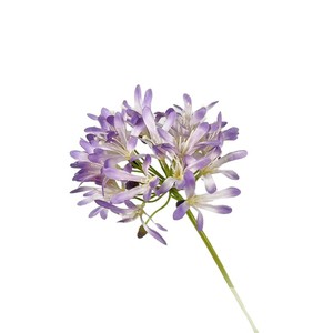 Agapanthus Artificial <b>Flower</b> <b>Single</b> Branch Silk High Simulation Wedding Home Decor - Product Image 1