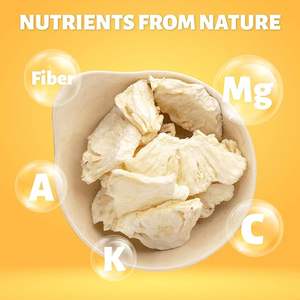 Tranches d'ananas entières biologiques séchées par lyophilisation, jaune clair, en vrac, certifiées ISO, qualité supérieure, naturelles, sucrées et acidulées, collation - Product Image 2