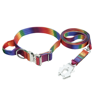Rainbow Gradient Nylon Dog <b>Collar</b> & Leash Set, Heavy Duty with Luxury Metal Buckle for Medium Large Dogs - Product Image 1