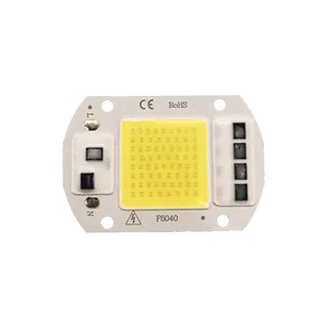 Nhà Máy 220V Thông Minh IC LED Chip 10 Wát 20 Wát 30 Wát 50 Wát COB LED Chip 50 Wát LED COB Trắng Ấm Trắng Lạnh Chip