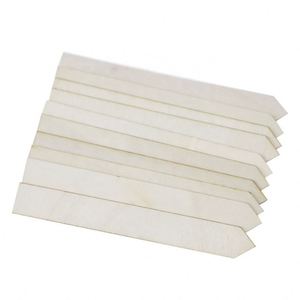 Etiquetas de Madera Personalizadas para Plantas, Mini Marcadores para Suculentas, Plantas en Maceta y Flores - Ideales como Señales de Jardín - Product Image 2