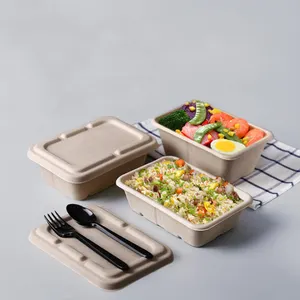 Contenitore per alimenti usa e getta biodegradabile compostabile in polpa di bagassa Bento Box