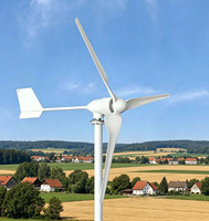 Kit de générateur éolien horizontal à 3 pales de 2000W, générateur synchrone AC triphasé NdFeB 24V 48V