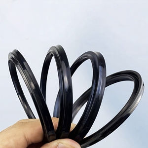 DHS DH Scraper Seal NBR/FKM Oil Resistant Industrial Oil Seal for Hydraulic Cylinder Wiper Dust Seal - Product Image 4