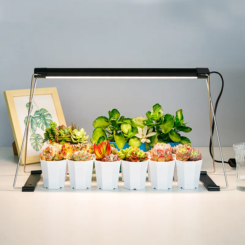 जम्मू और सी Minigarden नॉर्म RoHS सीई ईआरपी रसीला microgreens संयंत्र बढ़ते इनडोर टेबल स्टैंड के साथ प्रकाश बढ़ने का नेतृत्व किया