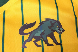 Venta al por mayor en blanco bordado uniforme de béisbol de diseño de tinte completo sublimado equipo Jersey de béisbol - Product Image 6