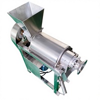 Industriële commerciële fruitpersmachine van roestvrij staal 304 met hoge productiviteit, koude persing