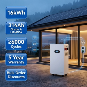 Batería de Litio VANYO 51.2V 314Ah con Celdas de Grado A, 16kWh, Salida Estable para Sistemas Solares Fuera de la Red - Product Image 2