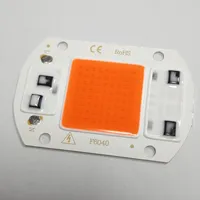 Puces LED COB intelligentes sans conducteur 20W 30W 50W Blanc Chaud Bleu AC 220V pour modules LED de projecteurs intérieurs DIY