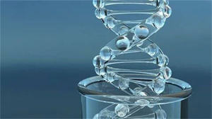 Pelle luminosa che riduce le macchie scure controllo dell'olio Anti invecchiamento Niacinamide per anche il tono della pelle - Product Image 6