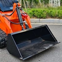 Mini-chargeuse sur chenilles diesel pour extérieur et ferme, 200kg, 300kg, 600kg, livraison gratuite, à vendre