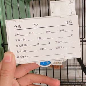 Tarjeta de Registro de Cría de Canarios, Tarjeta de Registro de Cría de Mascotas, Tarjeta de Registro de Cría de Aves - Product Image 1