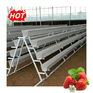 Sistema di Canalizzazione in PVC per Serre Interne, Canale di Alta Qualità per Coltivazione Idroponica di Fragole - Product Image 2