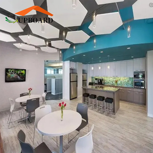 Plaques de plafond en fibre de verre, <span class=keywords><strong>isolation</strong></span> acoustique pour les secteurs de la santé - Product Image 1