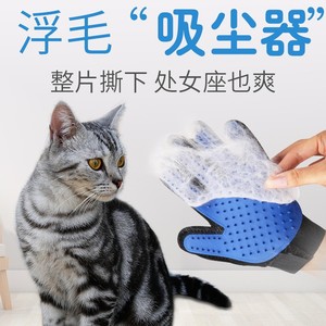 Gants de toilettage pour chat en velours, forme de peigne rond, pour petits chiens, outils de toilettage - Product Image 5