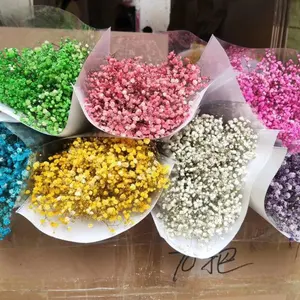 F-1222 Hot Jual Babysbreath Bunga Kering Kering Diawetkan Bunga