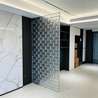 Blocs muraux ondulés compacts en mini-briques de verre décoratives modernes avec texture effet glace craquelée