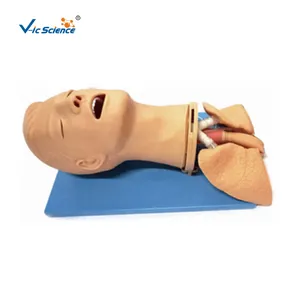 Advanced multi-function airway management model