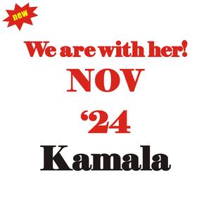 Kamala Harris Vente en gros Transfert de strass en cristal Hotfix Pierres de strass en verre Hot Fix pour le repassage de vêtements et de vêtements - Product Image 4