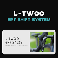 VITTORIA ER7 Aero Aerodinamik Entegre Karbon Kadrolu 700C Disk Frenli Yol Bisikleti Karbon Fiber Bisiklet