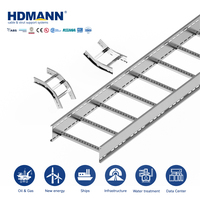 Échelle à câbles en acier au carbone électrogalvanisé de 300 mm, certifiée Hdmann SGS, de qualité moyenne, pour le routage de câbles dans les usines de semi-conducteurs