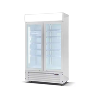 Réfrigérateur de présentation de boissons à refroidissement direct vertical à porte simple à température unique mécanique pour supermarché commercial