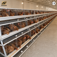 Cages d'élevage pour poulets de chair, cages en batterie pour poules pondeuses, équipement avicole pour la production d'œufs, système d'élevage en étages résistant à la corrosion et logements avicoles à étages pour poules