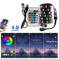 Bande lumineuse LED Flexible sans fil avec télécommande IR 24 touches, alimentée par USB, idéale comme rétro-éclairage de la télé, dc 5v, 5050 v