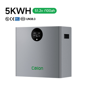 Batterie au lithium LiFePO4 murale 5KWh 51.2V à cycle profond pour système solaire résidentiel - Prix de gros - Product Image 6