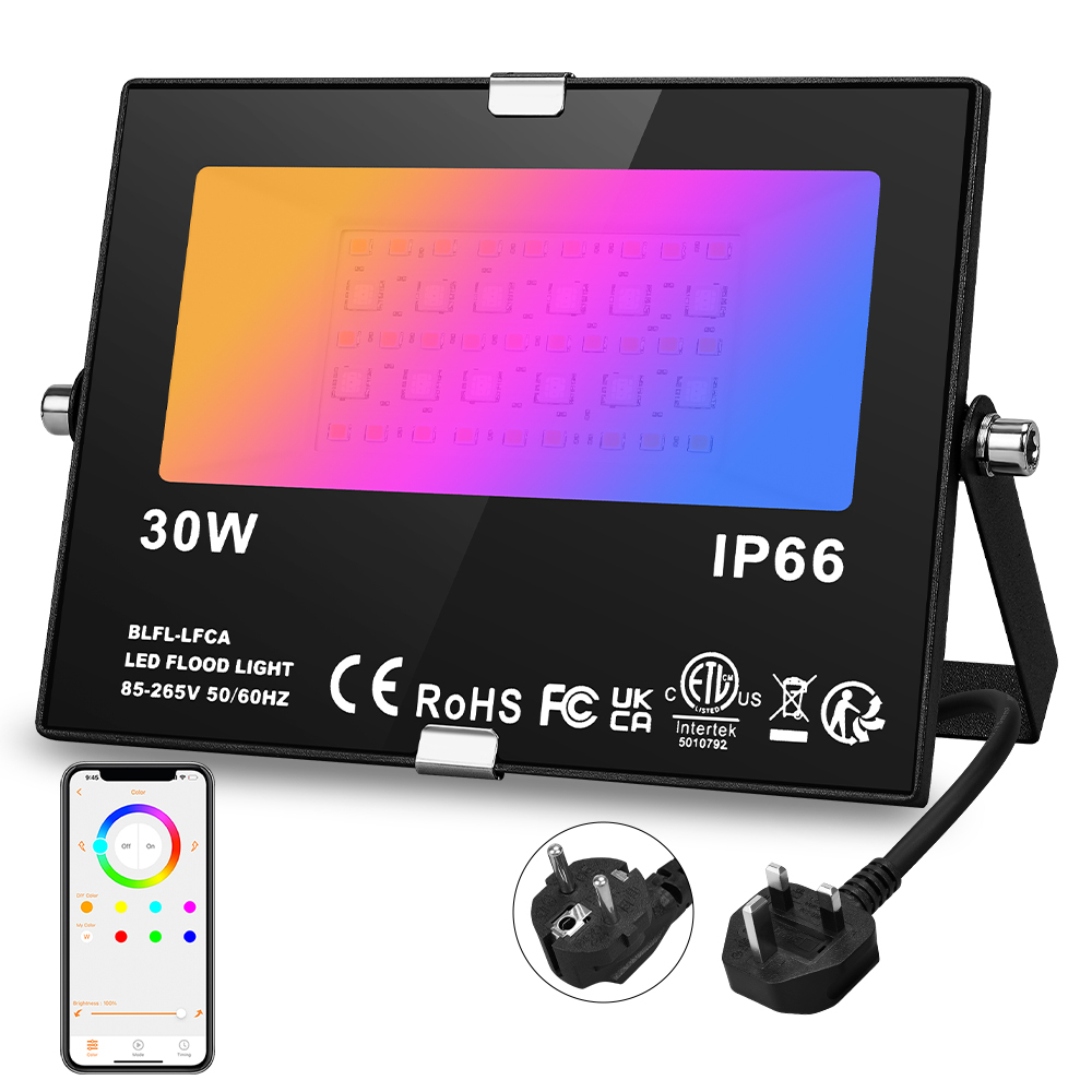 30W 80W RGB Colour Changing Flood Light Remote Control Memory Timing 4 Modes IP66 Waterproof Outdoor LED Floodlight