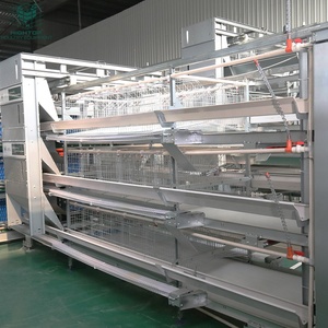 Jaulas para Gallinas Ponedoras Tipo H Totalmente Automáticas con Sistema de Eliminación de Estiércol para 35000 Aves, Cría Avícola a Gran Escala - Product Image 5
