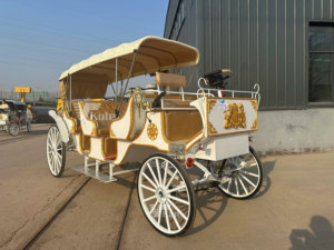 Charrette à Chevaux Électrique de Luxe et Haut de Gamme pour Visites Touristiques, Fabrication Chinoise - Product Image 3